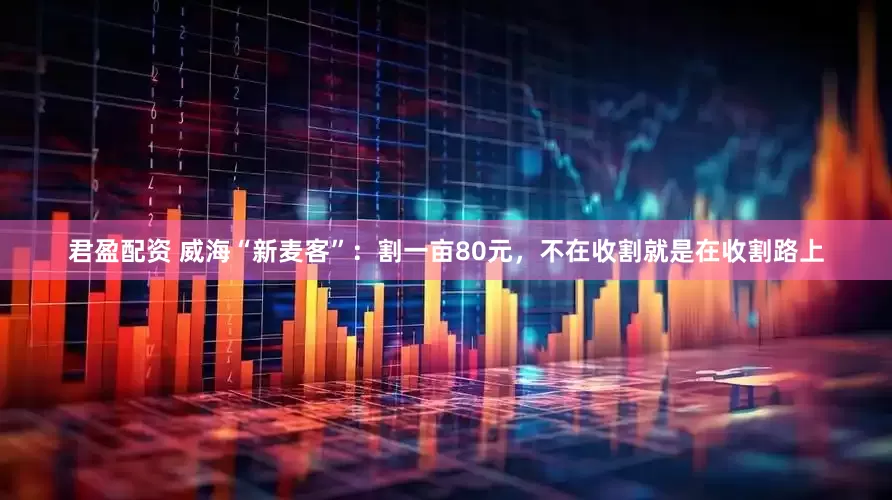 君盈配资 威海“新麦客”：割一亩80元，不在收割就是在收割路上