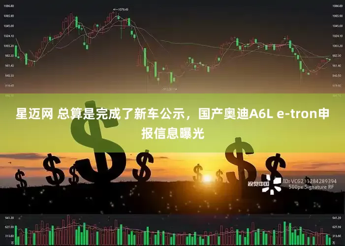 星迈网 总算是完成了新车公示，国产奥迪A6L e-tron申报信息曝光