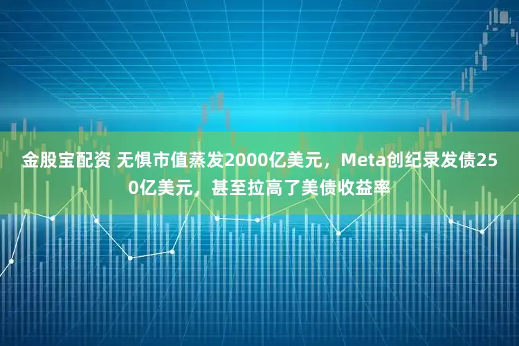 金股宝配资 无惧市值蒸发2000亿美元,Meta创纪录发债250亿美元,甚至拉高了美债收益率